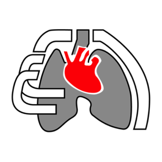 Logo de Consejo Nacional de Cirugía del Tórax, A.C.